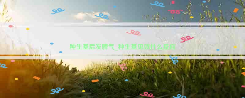 种生基后发脾气_种生基见效什么反应