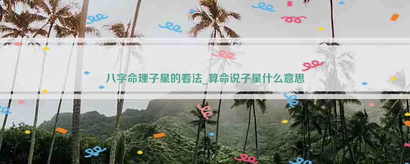 八字命理子星的看法_算命说子星什么意思