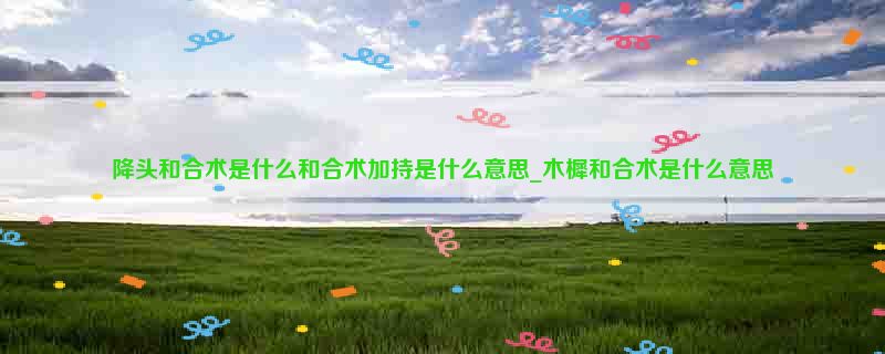 降头和合术是什么和合术加持是什么意思_木樨和合术是什么意思