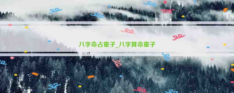 八字命占童子_八字算命童子