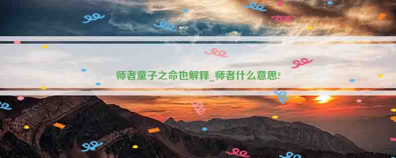 师者童子之命也解释_师者什么意思?
