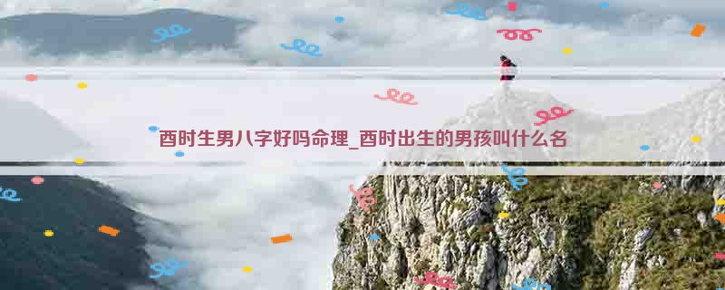 酉时生男八字好吗命理_酉时出生的男孩叫什么名