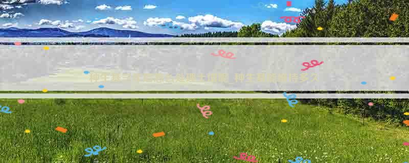 种生基三年后怎么处理土壤呢_种生基能维持多久