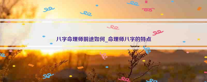八字命理师前途如何_命理师八字的特点
