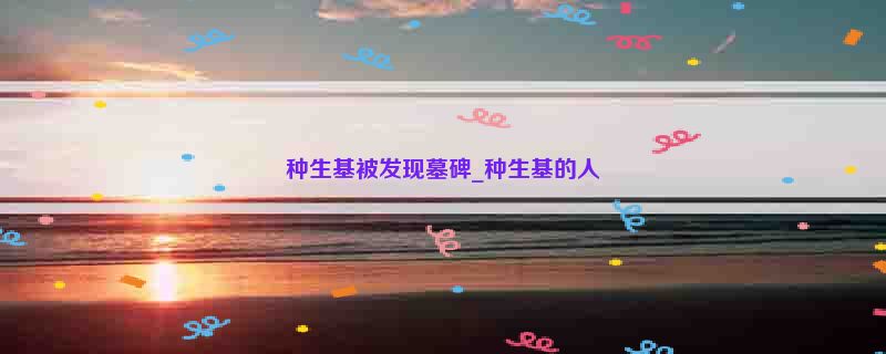 种生基被发现墓碑_种生基的人